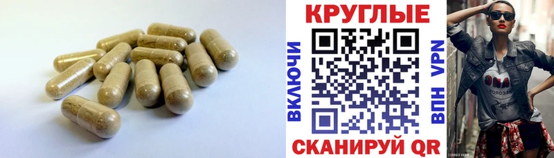 Экстази круглые  Купить закладки  Венёв 