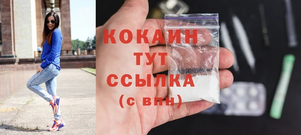 spice Краснослободск