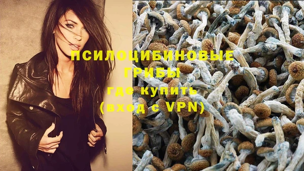 ALPHA PVP Красноперекопск
